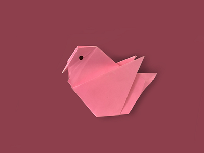 Origami & sparrow design illustration origami procreate