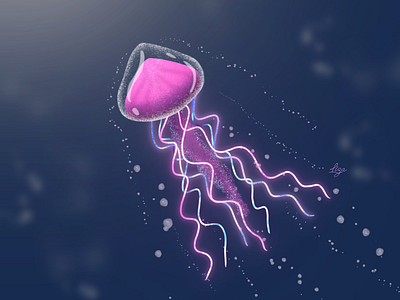 Jellyfish