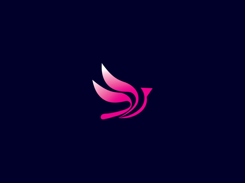 Bird design by Nur UDDIN on Dribbble