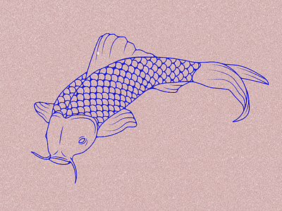 Koi fish illustration koi koi fish perseverance vector