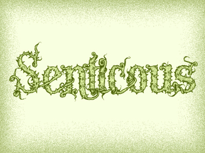 Senticous Fin