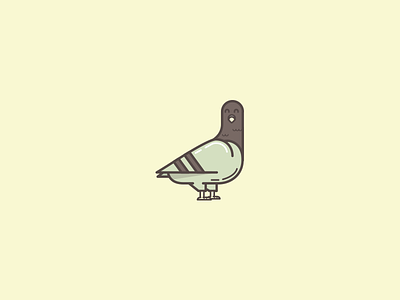 Pigeon bird icon illustration pigeon