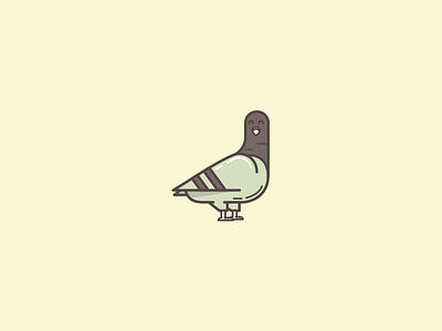 Pigeon