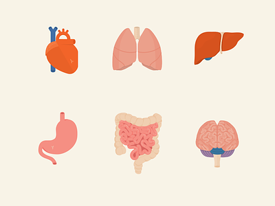 Everybody is squishy & pink anatomy aveeno brain gross heart icon intestine liver lungs organs stomach