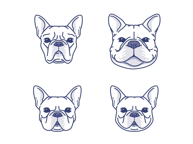 s'up frenchie by Meg on Dribbble