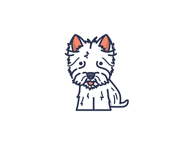 West Highland Terrier dog puppy