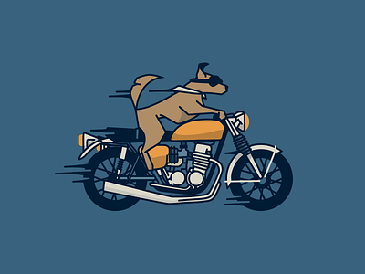 Pronto babeswhoride dogsdogsdogs motorcycle