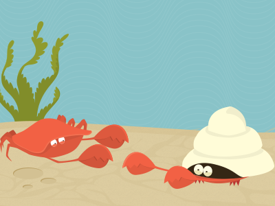 Crabs crab hermit crab ocean illustration