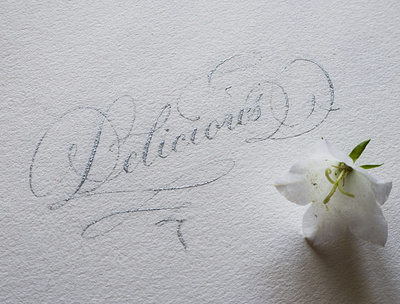 Delicious calligraphy hand drawn hand lettering lettering typo typography