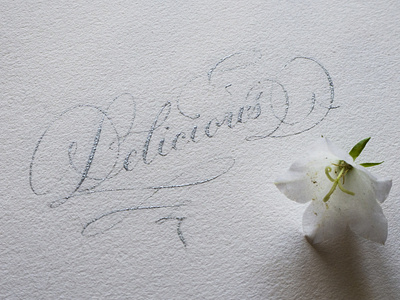Delicious calligraphy hand drawn hand lettering lettering typo typography