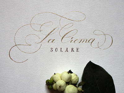 La Crema Solare calligraphy hand drawn hand lettering lettering typo typography