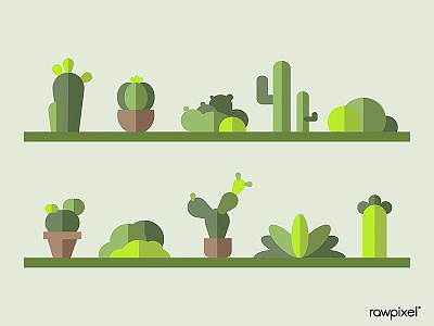 Green botany cactus collection vector design vector