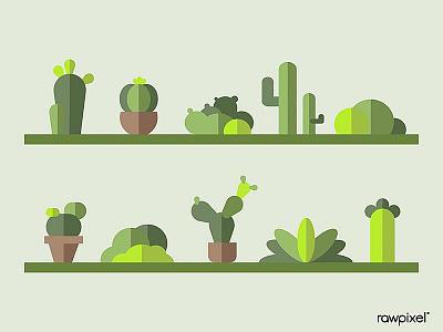 Green botany cactus collection vector