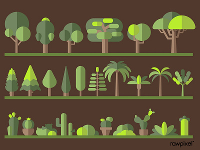 Green botany flat tree collection on a rack vector design vector