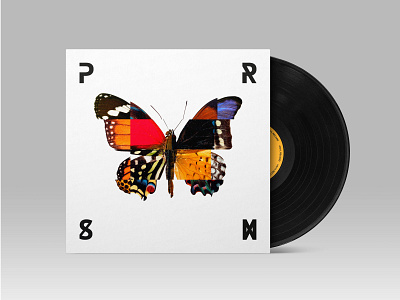 PRSM - Butterfly album cover butterfly cover design graphic design illustration music