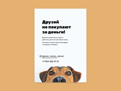 Leaflets for animal shelter