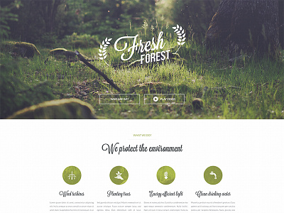 Fresh Forest ecological foundation template design eco forest fresh psd template webdesign website