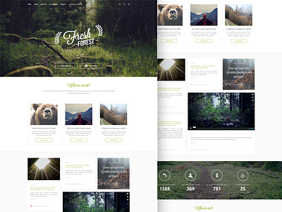 FreshForest One Page PSD Template forest fresh layout onepage page psd single page template