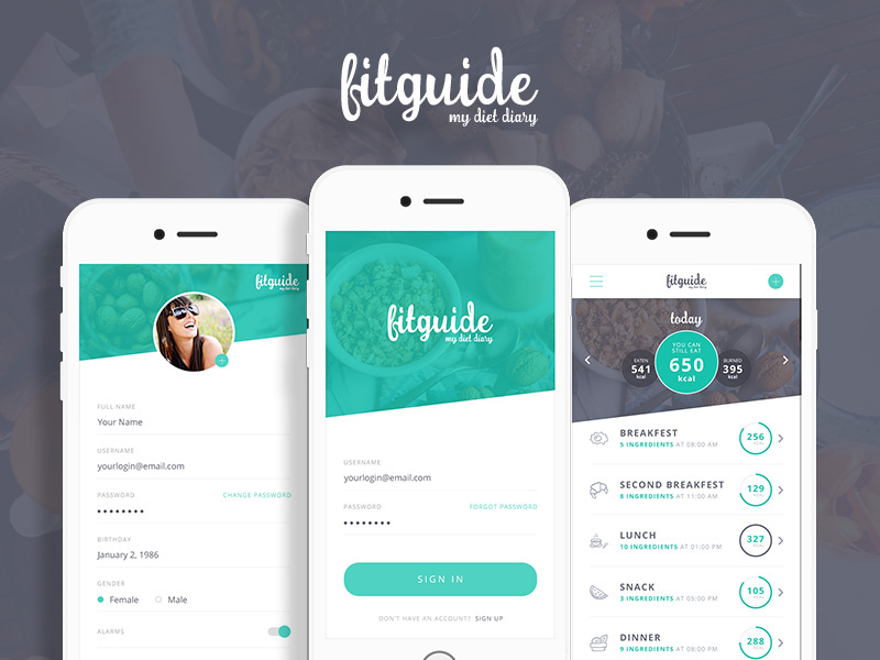 Fit Guide  Diet App  Design  v4 by Agnieszka Palmowska 