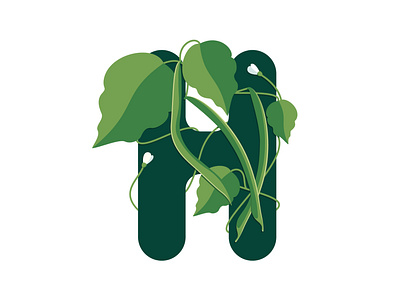 Haricot alphabet green haricot illustration lettering vector