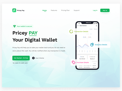 Pricey Pay Landing Page (Hero Section)