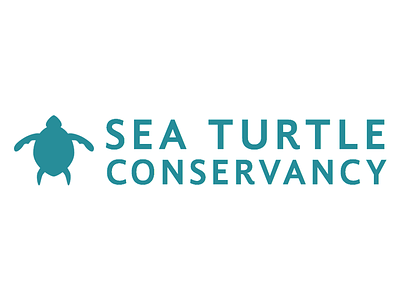 Sea Turtle Conservancy identity logo personal sketch turtle