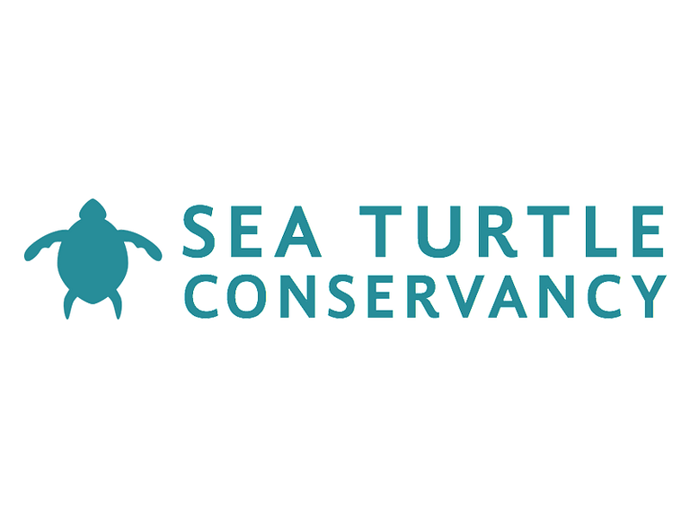 Sea Turtle Conservancy by Christopher Breitigan on Dribbble