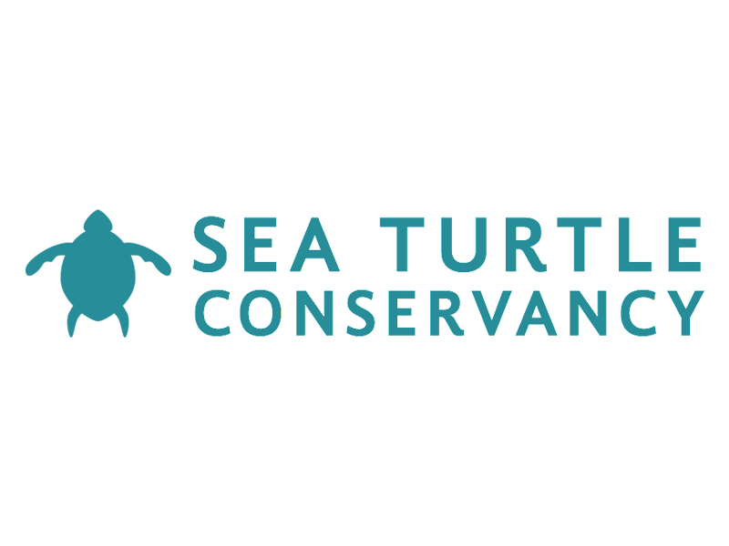 Sea Turtle Conservancy by Christopher Breitigan on Dribbble