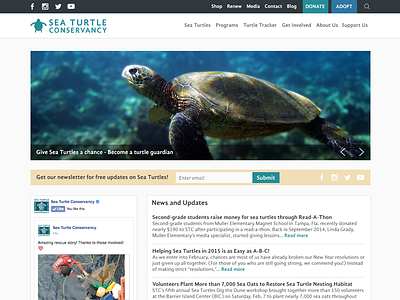 STC Website Redesign personal redesign turtles ui web design