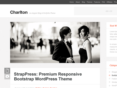 Charlton theme wordpress