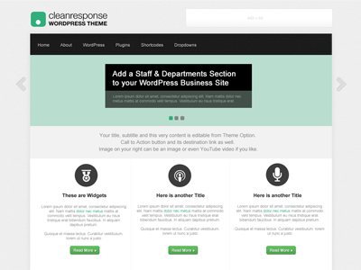 CleanResponse free wordpress theme