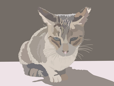 Cat animal animalgraphics art flat graphicdesign graphics illustration
