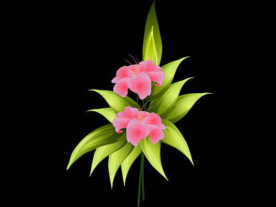 Flower Vector artist creativity design graphic illustration vector