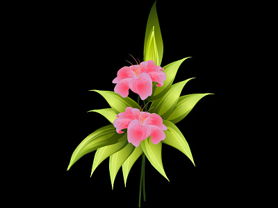 Flower Vector