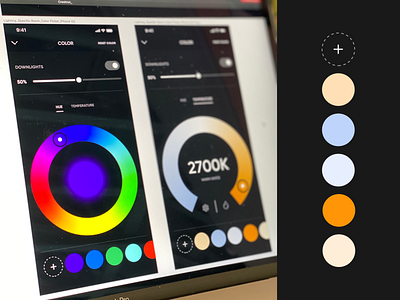 Crestron Lighting Control app color crestron design flat home automation ios iphone lighting slider smart home ui user experience user interface ux