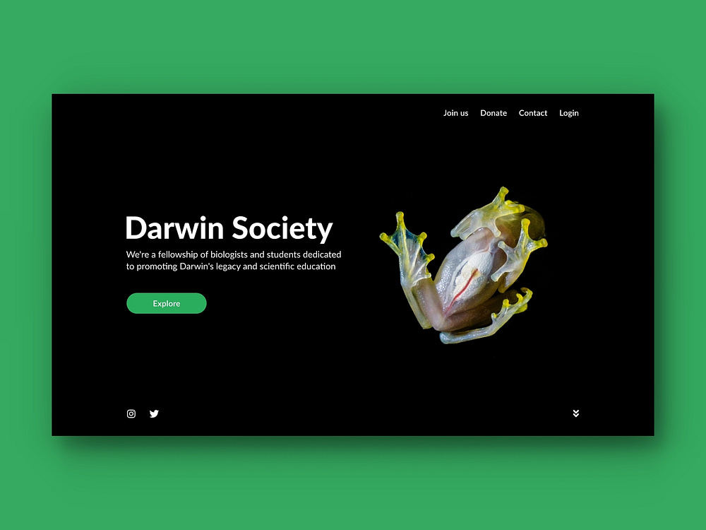 Darwin Society Landing Page By Andre Specht On Dribbble