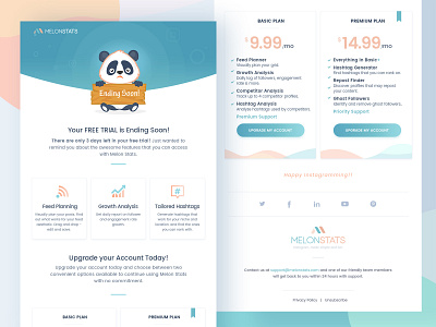 Melonstats: Email Newsletter Design analysis analytical analytics conversion dashboard email email design followers growth hashtags insights instagram landing page melonstats newsletter sale sales statics stats website
