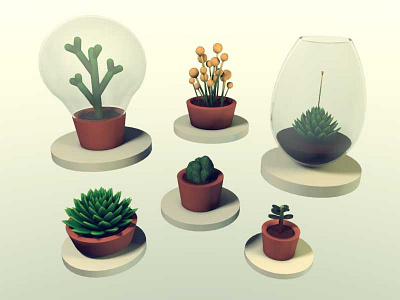 Terrariums