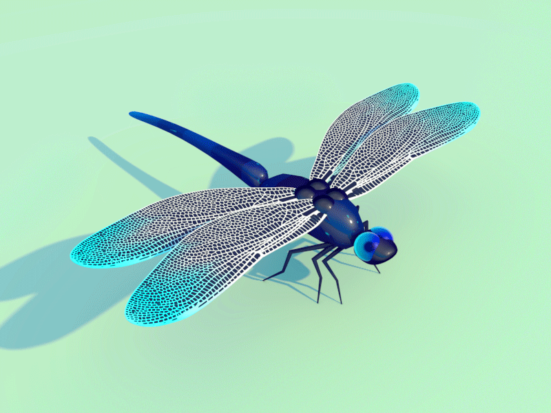 Dragonfly 3d animation 3d illustration animation bug dlgnce dragonfly gif insect loop stuart wade wings