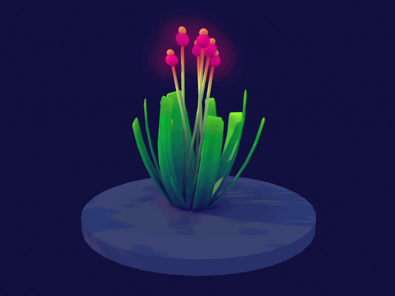Planty! animation cinema 4d dlgnce flowers gif illustration leaves plant rendering stuart wade