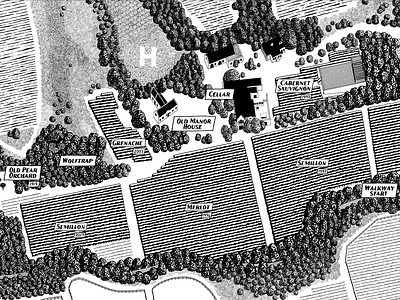 Maps of wine farms black white design drawing illustration infographic map illustration