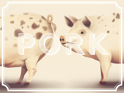 PORK aw conqueror illustration pig pork typfonderie typography