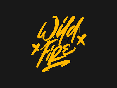 Wildfire design graphic graphicdesign graphics hand lettering handlettering lettering letters procreate typography