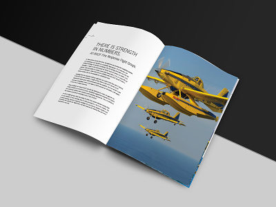 Air Tractor 802F Brochure aircraft brochure minimal print typography