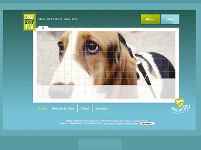 Louisiana SPCA Campaign Mini-site design interactive ui web