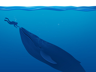 The Whale animal blue illustration sea underwater vector whale
