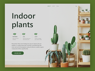 Online Plant Shop graphic design green plants illustration vector web design