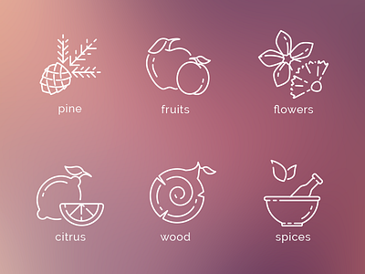 Flavors icons citrus flowers fruits icons natural cosmetics outline pine spices wood