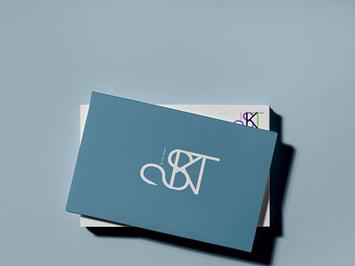 Salkintin BusinessCard branding color design illustrator logo nfts salkintin