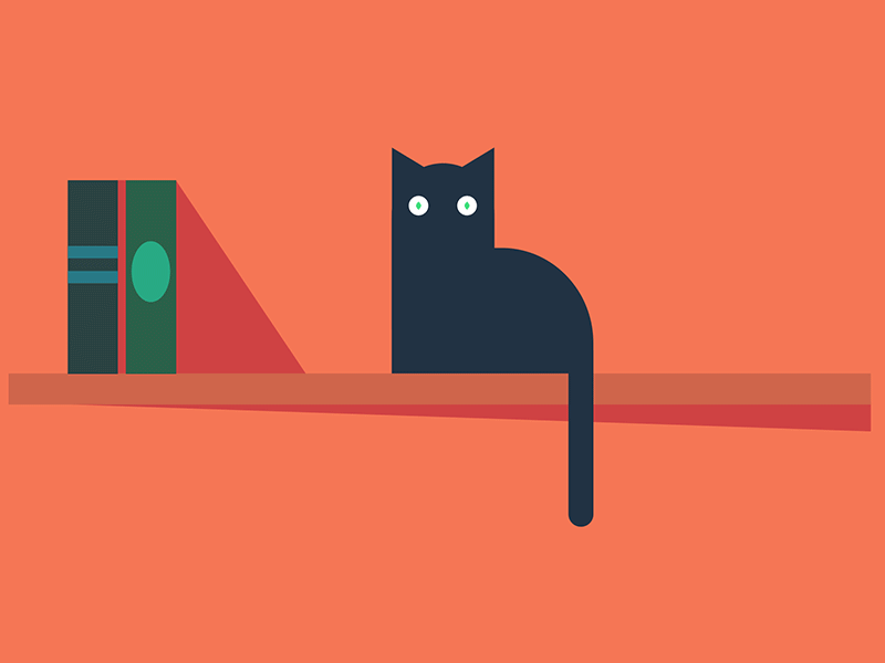 Cat after effects cat gif illustration